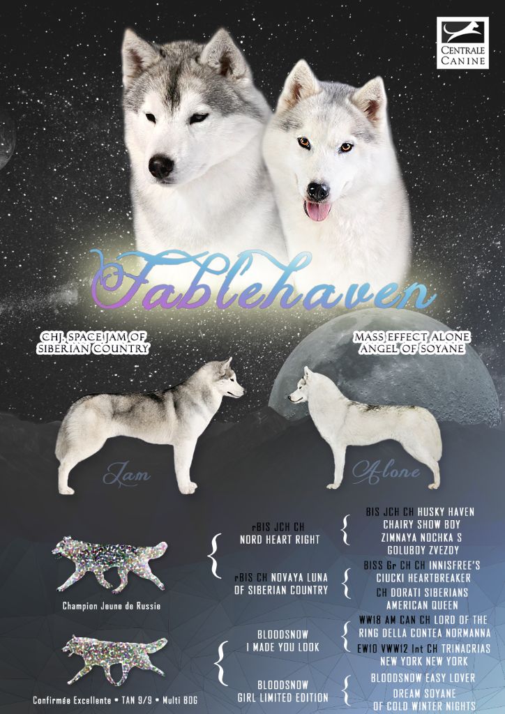 Fablehaven - Siberian Husky - Portée née le 06/10/2018