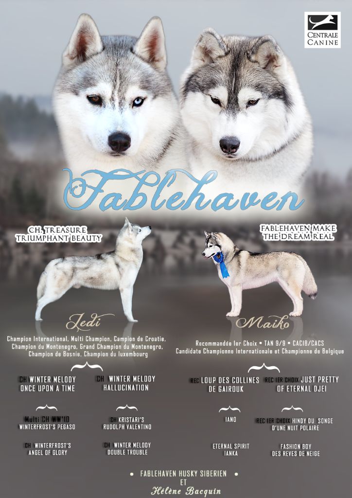 Fablehaven - Siberian Husky - Portée née le 19/03/2020