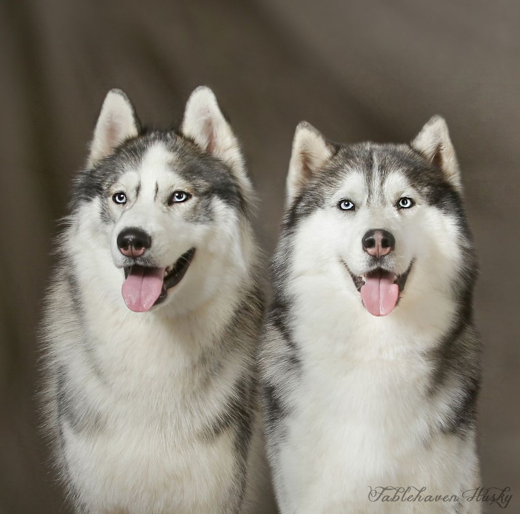 Photos de famille